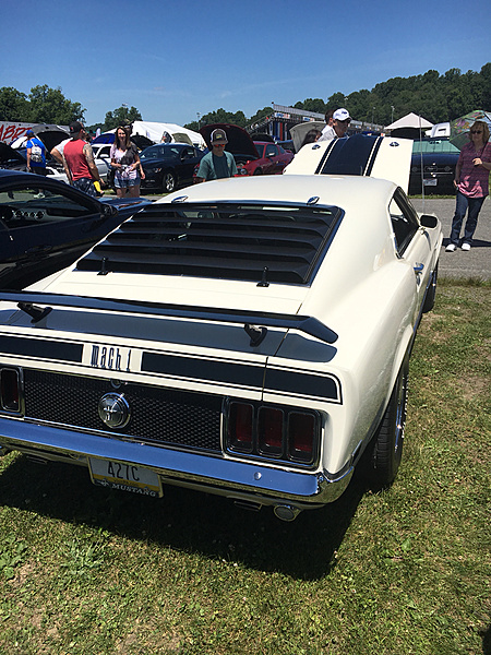 What did you do with your Mustang today?*-photo377.jpg