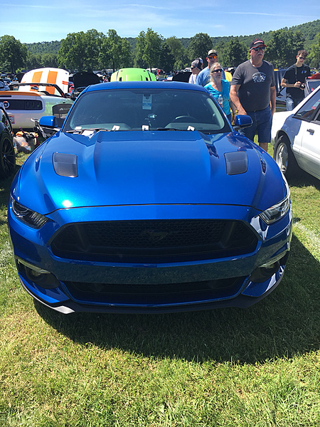 What did you do with your Mustang today?*-photo885.jpg