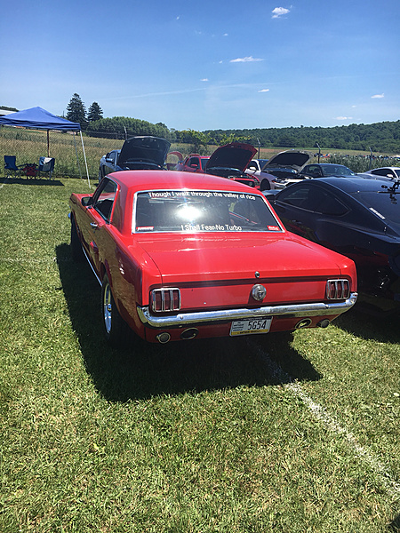 What did you do with your Mustang today?*-photo485.jpg