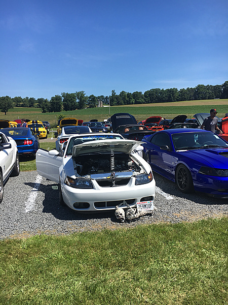 What did you do with your Mustang today?*-photo497.jpg