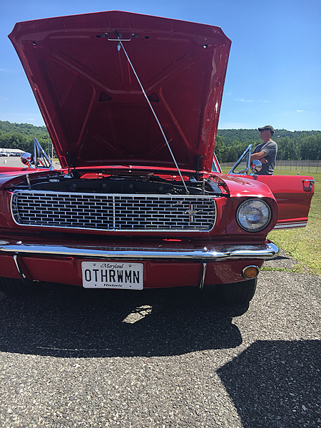 What did you do with your Mustang today?*-photo492.jpg