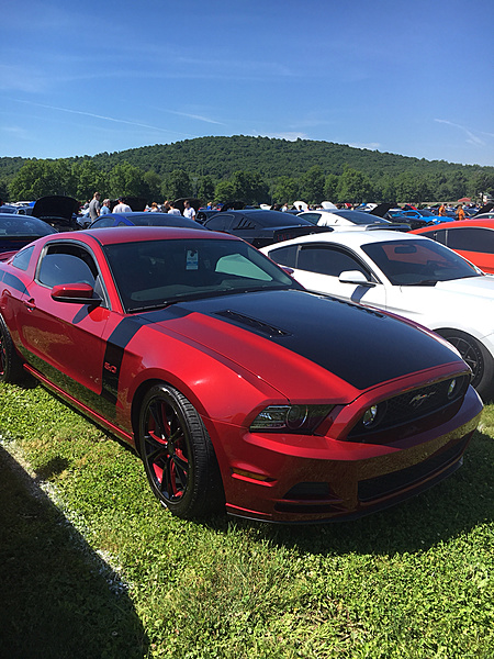 What did you do with your Mustang today?*-photo622.jpg