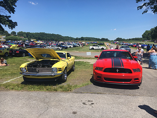 What did you do with your Mustang today?*-photo923.jpg