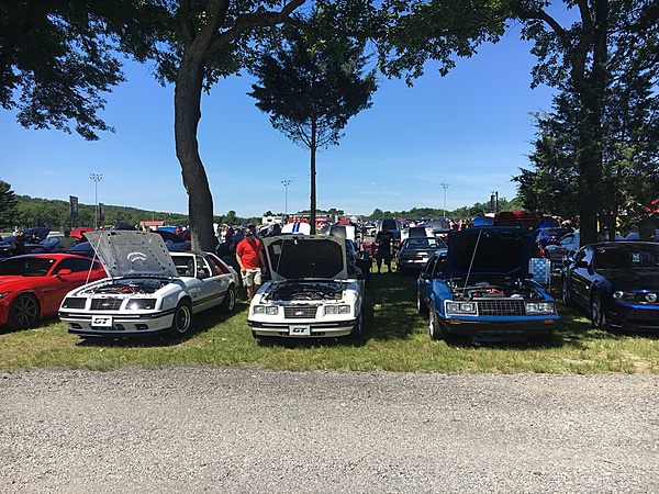 What did you do with your Mustang today?*-photo500.jpg