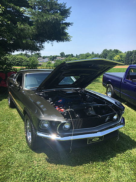 What did you do with your Mustang today?*-photo51.jpg