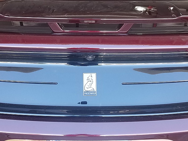 What did you do with your Mustang today?*-20180618_165458.jpg