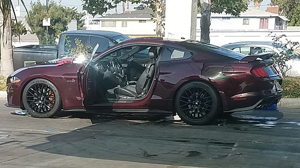 What did you do with your Mustang today?*-20180716_091656.jpg