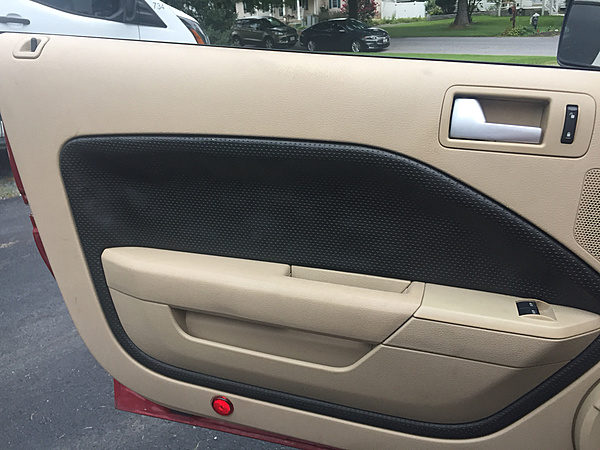 What did you do with your Mustang today?*-photo924.jpg