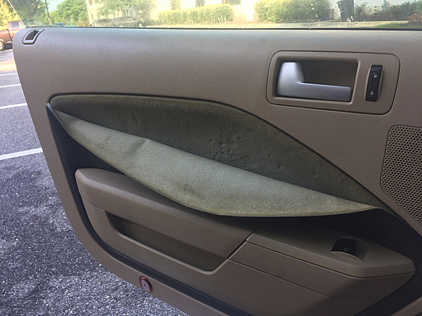 What did you do with your Mustang today?*-photo271.jpg