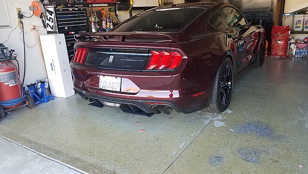 What did you do with your Mustang today?*-20180912_164348.jpg