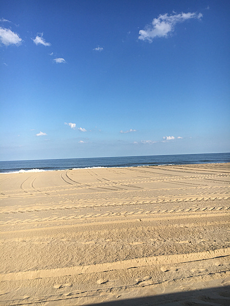 What did you do with your Mustang today?*-photo834.jpg