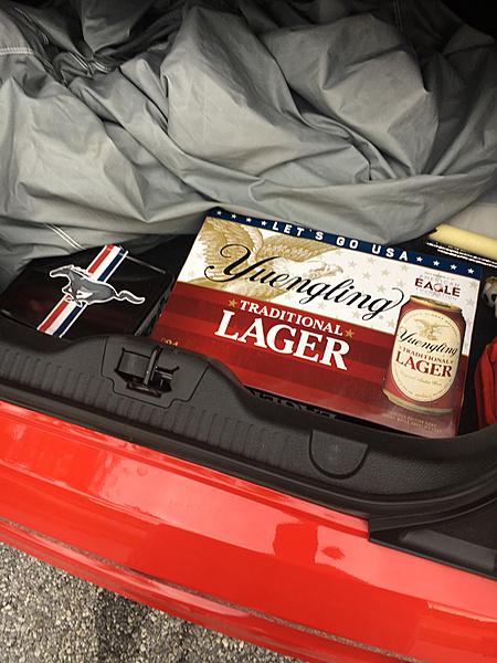 What did you do with your Mustang today?*-photo811.jpg