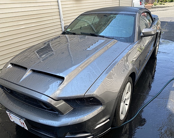 What did you do with your Mustang today?*-f6d265a2-f414-4b6b-9451-20733d803a86.jpeg