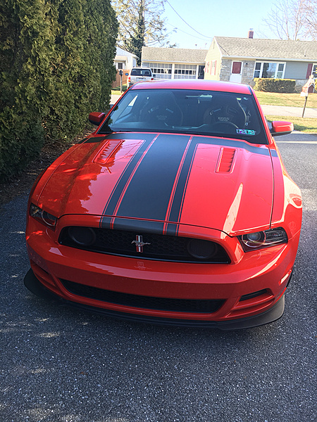 What did you do with your Mustang today?*-photo599.jpg