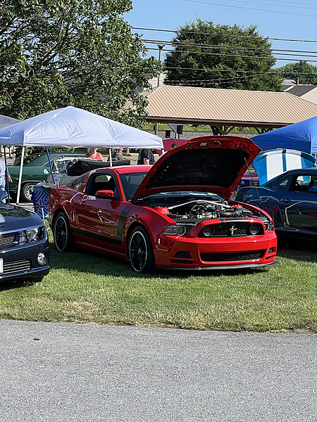 What did you do with your Mustang today?*-photo986.jpg