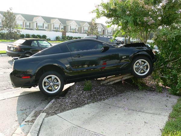 Ponies on The Run!-p1010465.jpg