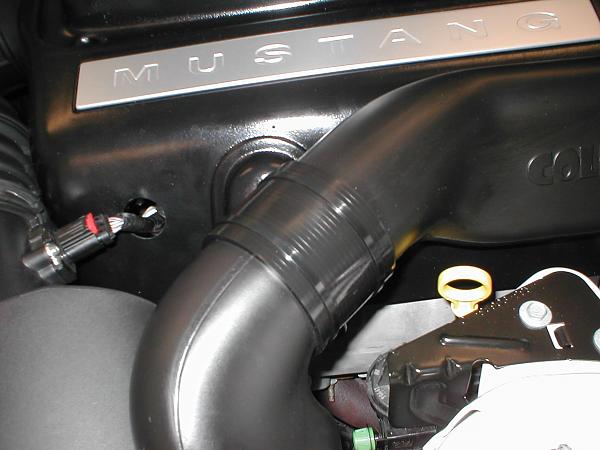 Ponies on The Run!-p1010070.jpg