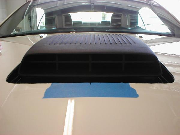 Ponies on The Run!-p1010075.jpg