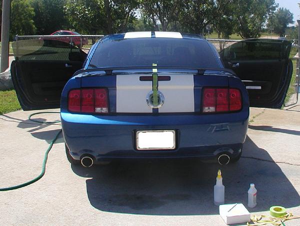 Ponies on The Run!-back-end-masked.jpg