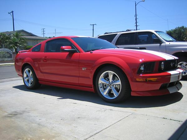 Ponies on The Run!-img_1199.jpg