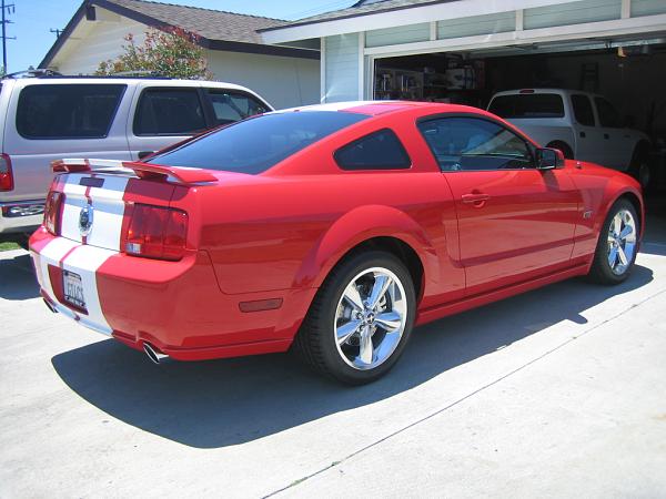 Ponies on The Run!-img_1200.jpg