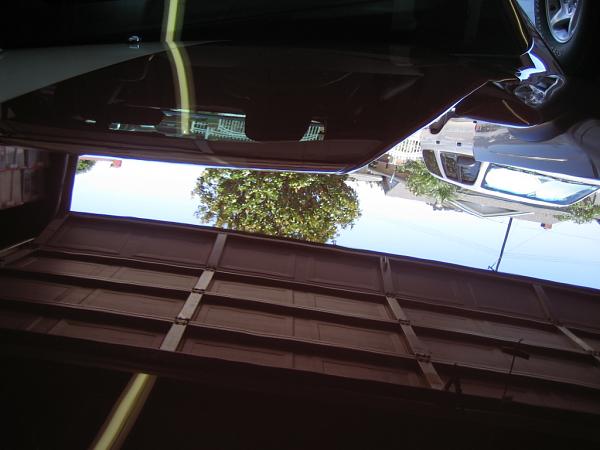 Ponies on The Run!-img_1215.jpg