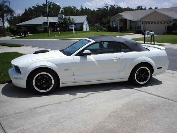 Ponies on The Run!-p1010076.jpg