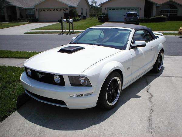 Ponies on The Run!-p1010078.jpg