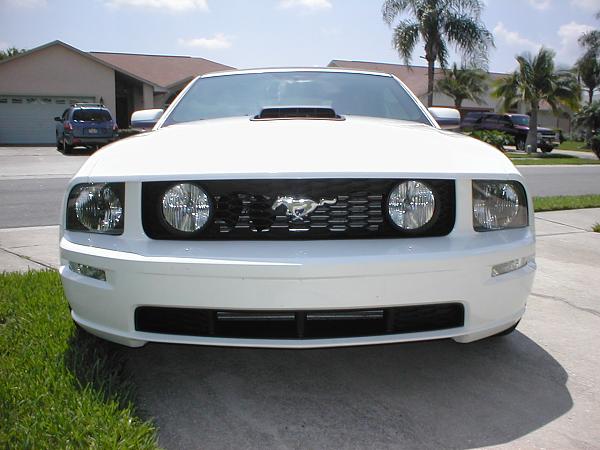 Ponies on The Run!-p1010080.jpg