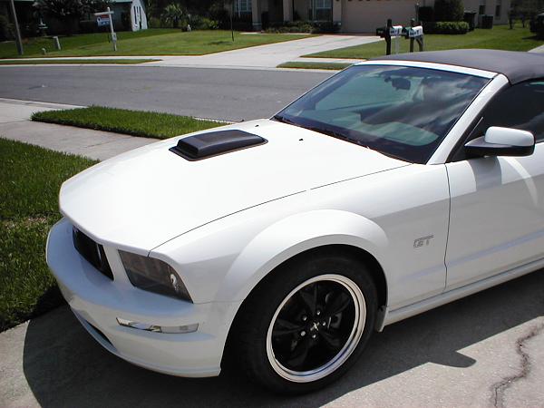 Ponies on The Run!-p1010081.jpg