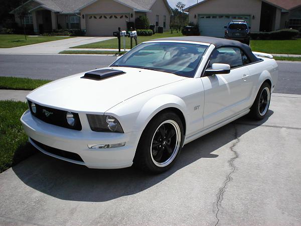 Ponies on The Run!-p1010082.jpg