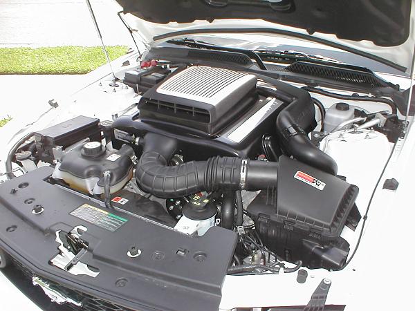 Ponies on The Run!-p1010083.jpg