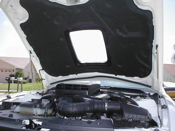 Ponies on The Run!-p1010085.jpg