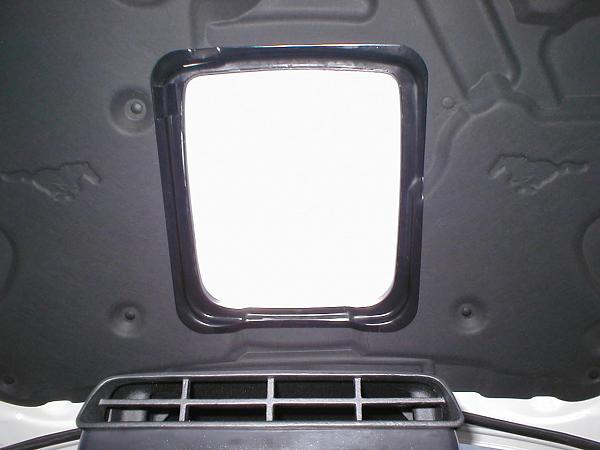 Ponies on The Run!-p1010087.jpg