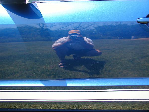 Ponies on The Run!-reflection-1.jpg