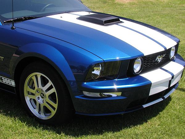 Ponies on The Run!-zainoii-coat-1-1.jpg