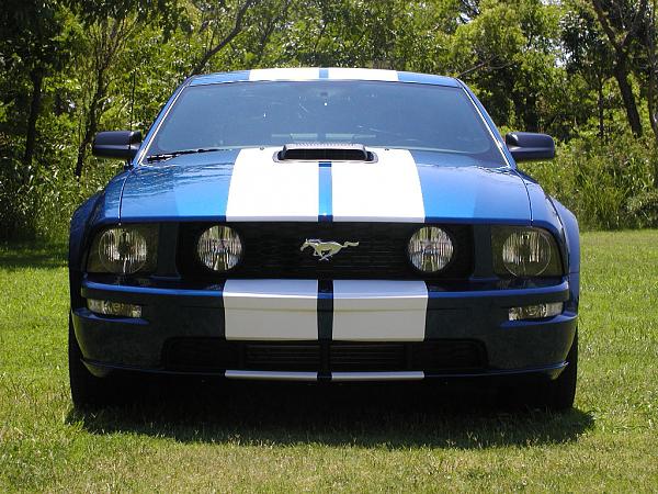 Ponies on The Run!-zainoii-coat-1-3.jpg