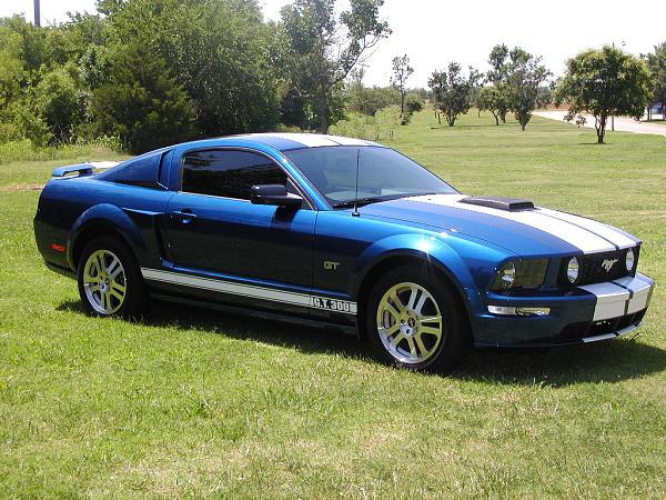 Ponies on The Run!-zainoii-coat-1-8.jpg