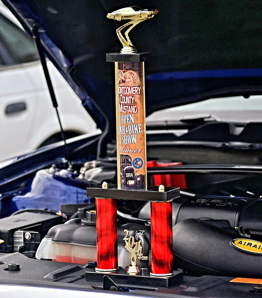 Name:  hPFXPyC.jpg
Views: 17
Size:  241.7 KB