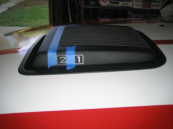 Ponies on The Run!-img_1245.jpg