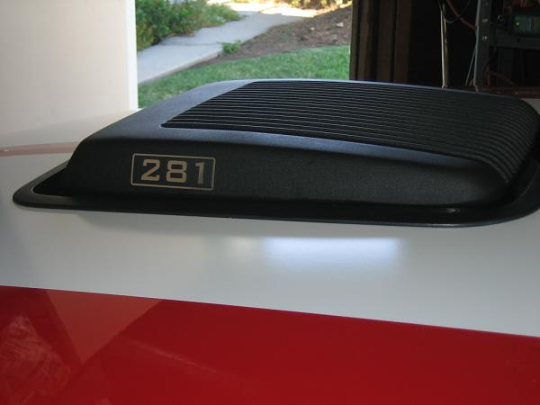 Ponies on The Run!-img_1258.jpg