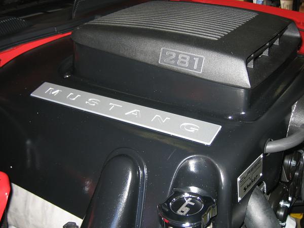 Ponies on The Run!-img_1269.jpg