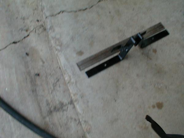 Ponies on The Run!-p1010003.jpg