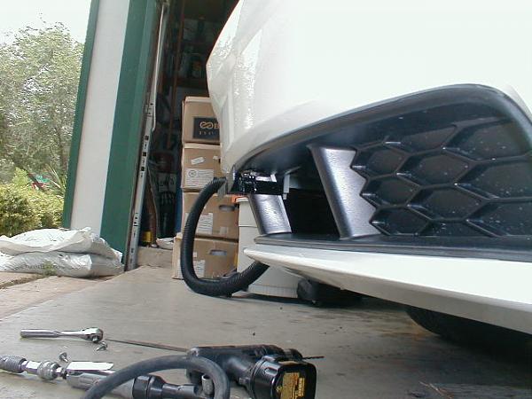 Ponies on The Run!-p1010006.jpg