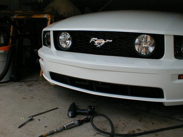 Ponies on The Run!-p1010007.jpg