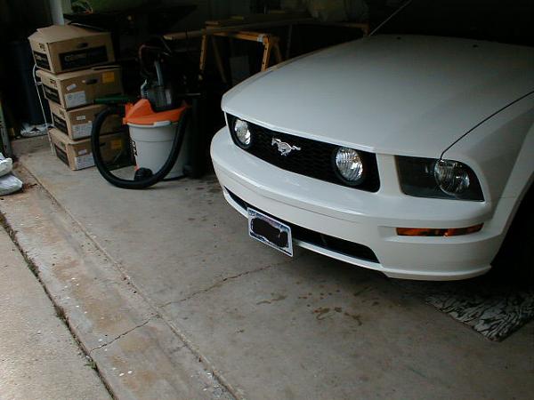 Ponies on The Run!-p1010008.jpg