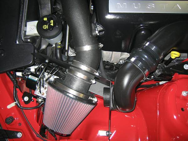 Ponies on The Run!-img_1293.jpg