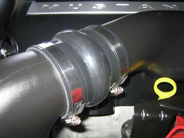 Ponies on The Run!-img_1284.jpg