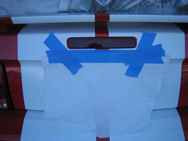 Ponies on The Run!-img_1298.jpg