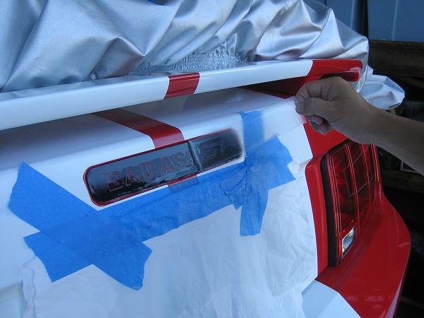 Ponies on The Run!-img_1314.jpg